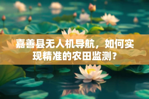 嘉善县无人机导航，如何实现精准的农田监测？