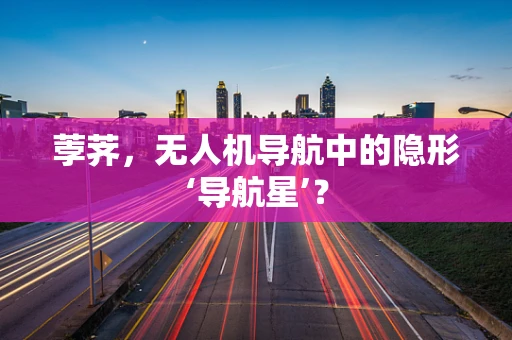 荸荠，无人机导航中的隐形‘导航星’？