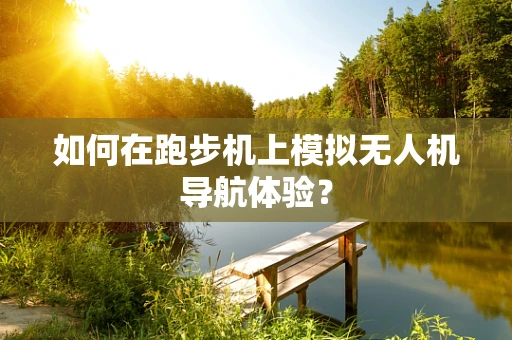 如何在跑步机上模拟无人机导航体验？