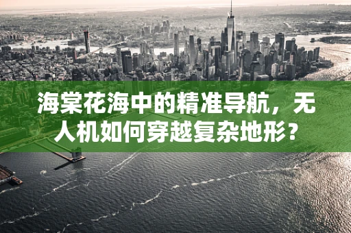 海棠花海中的精准导航，无人机如何穿越复杂地形？
