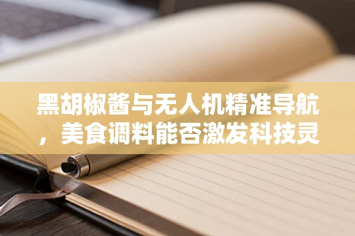 黑胡椒酱与无人机精准导航，美食调料能否激发科技灵感？