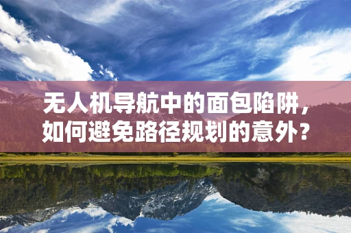 无人机导航中的面包陷阱，如何避免路径规划的意外？
