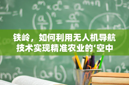 铁岭，如何利用无人机导航技术实现精准农业的‘空中之眼’？
