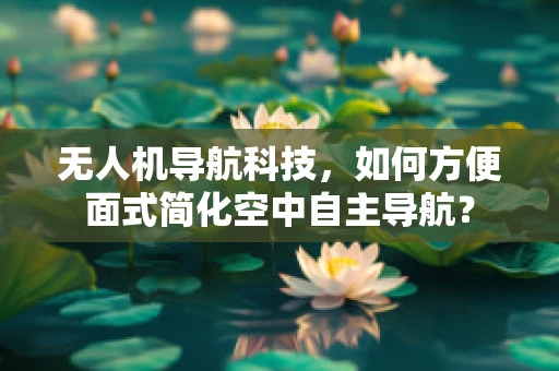 无人机导航科技，如何方便面式简化空中自主导航？