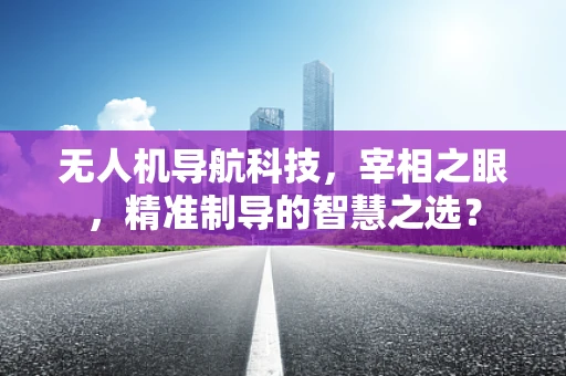 无人机导航科技，宰相之眼，精准制导的智慧之选？