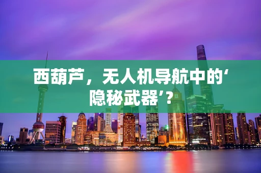 西葫芦，无人机导航中的‘隐秘武器’？