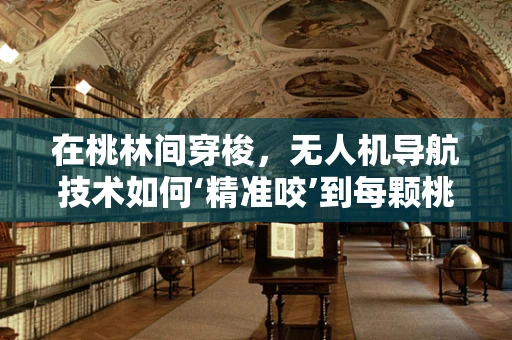 在桃林间穿梭，无人机导航技术如何‘精准咬’到每颗桃子？