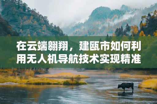 在云端翱翔，建瓯市如何利用无人机导航技术实现精准农业？
