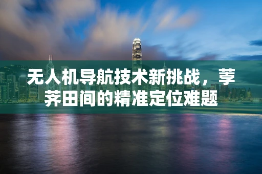 无人机导航技术新挑战，荸荠田间的精准定位难题