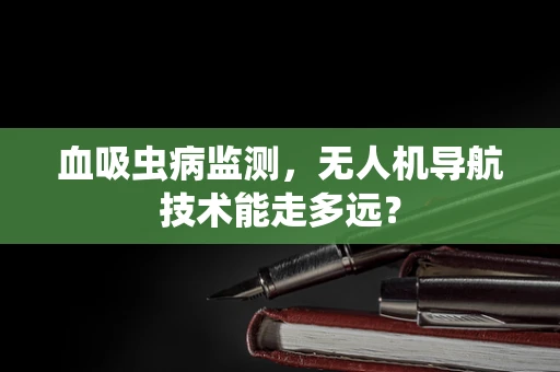血吸虫病监测，无人机导航技术能走多远？