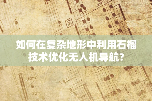 如何在复杂地形中利用石榴技术优化无人机导航？