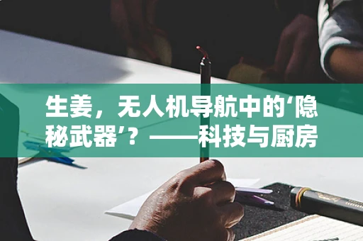 生姜，无人机导航中的‘隐秘武器’？——科技与厨房调料的不解之缘