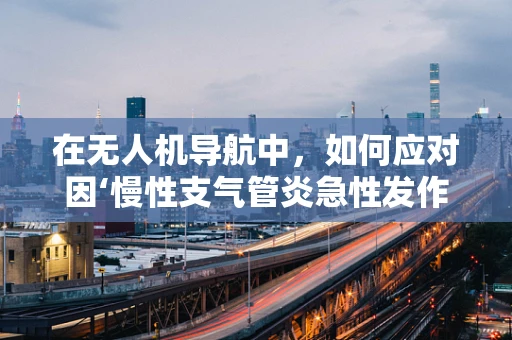 在无人机导航中，如何应对因‘慢性支气管炎急性发作’导致的飞行员健康问题？