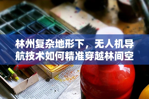 林州复杂地形下，无人机导航技术如何精准穿越林间空隙？