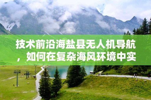 技术前沿海盐县无人机导航，如何在复杂海风环境中实现精准定位？