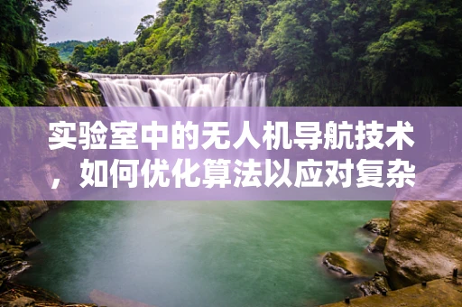 实验室中的无人机导航技术，如何优化算法以应对复杂环境？