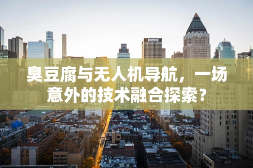 臭豆腐与无人机导航，一场意外的技术融合探索？
