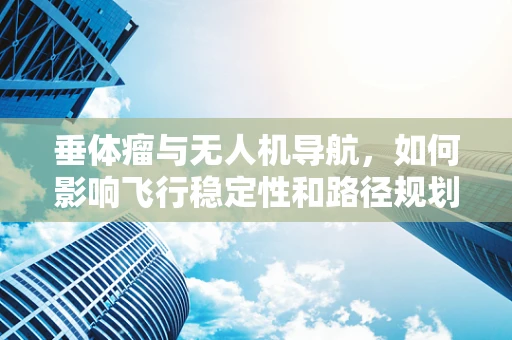 垂体瘤与无人机导航，如何影响飞行稳定性和路径规划？