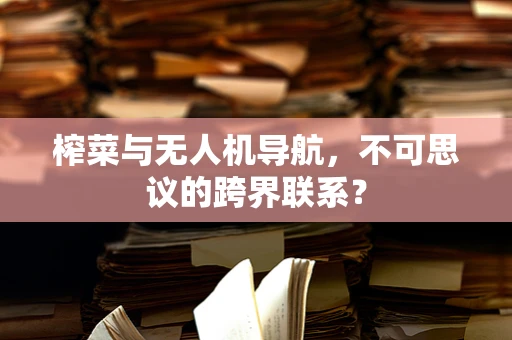 榨菜与无人机导航，不可思议的跨界联系？