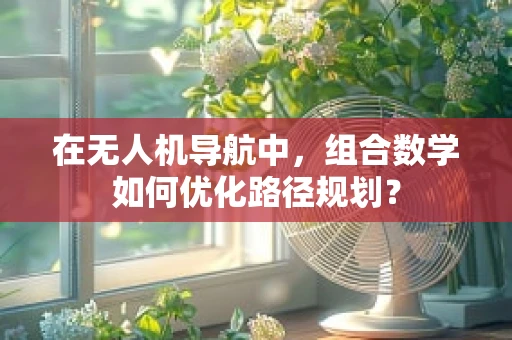 在无人机导航中，组合数学如何优化路径规划？