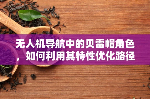 无人机导航中的贝雷帽角色，如何利用其特性优化路径规划？