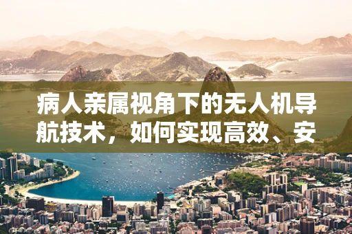 病人亲属视角下的无人机导航技术，如何实现高效、安全的探视？