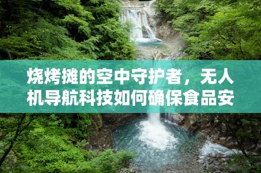 烧烤摊的空中守护者，无人机导航科技如何确保食品安全与秩序？