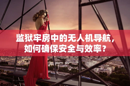 监狱牢房中的无人机导航，如何确保安全与效率？
