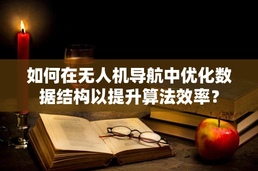 如何在无人机导航中优化数据结构以提升算法效率？