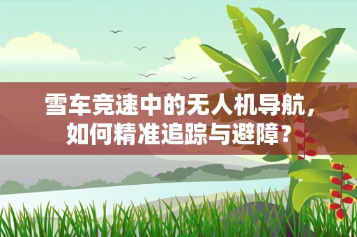 雪车竞速中的无人机导航，如何精准追踪与避障？