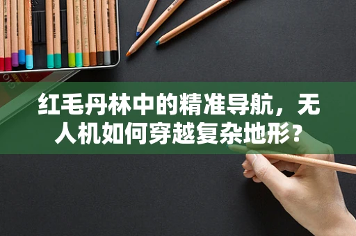 红毛丹林中的精准导航，无人机如何穿越复杂地形？