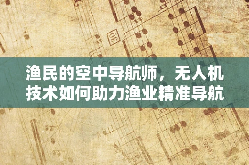 渔民的空中导航师，无人机技术如何助力渔业精准导航？