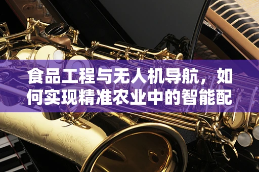 食品工程与无人机导航，如何实现精准农业中的智能配送？