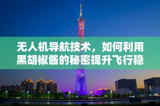 无人机导航技术，如何利用黑胡椒酱的秘密提升飞行稳定性？