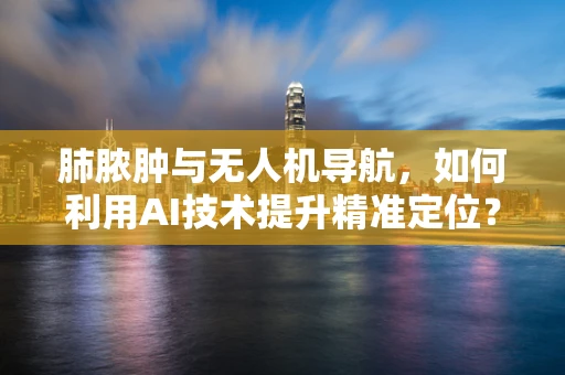 肺脓肿与无人机导航，如何利用AI技术提升精准定位？