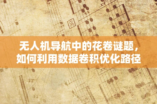 无人机导航中的花卷谜题，如何利用数据卷积优化路径规划？
