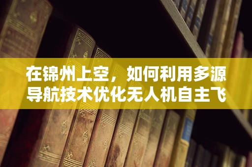 在锦州上空，如何利用多源导航技术优化无人机自主飞行？
