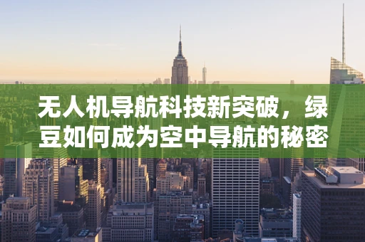 无人机导航科技新突破，绿豆如何成为空中导航的秘密武器？