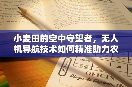 小麦田的空中守望者，无人机导航技术如何精准助力农田管理？