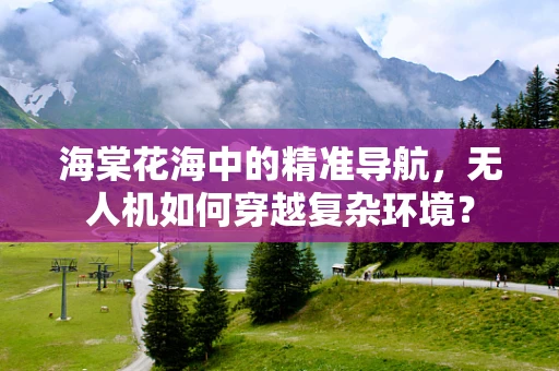 海棠花海中的精准导航，无人机如何穿越复杂环境？