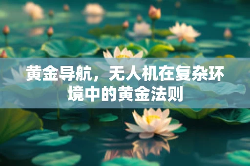 黄金导航，无人机在复杂环境中的黄金法则