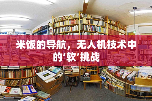 米饭的导航，无人机技术中的‘软’挑战