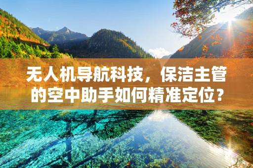无人机导航科技，保洁主管的空中助手如何精准定位？