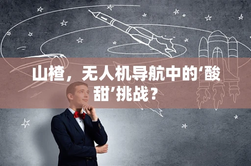 山楂，无人机导航中的‘酸甜’挑战？
