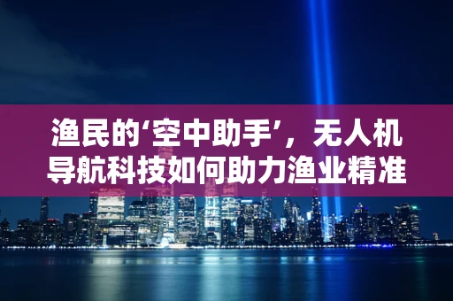 渔民的‘空中助手’，无人机导航科技如何助力渔业精准作业？