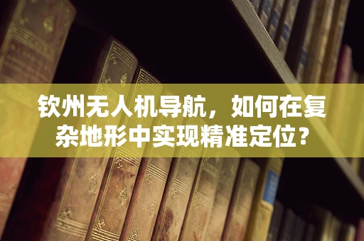 钦州无人机导航，如何在复杂地形中实现精准定位？
