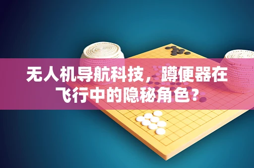 无人机导航科技，蹲便器在飞行中的隐秘角色？