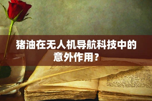 猪油在无人机导航科技中的意外作用？