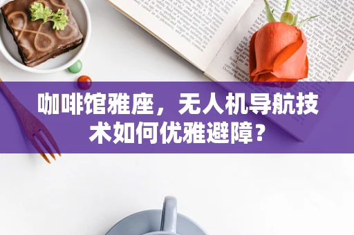 咖啡馆雅座，无人机导航技术如何优雅避障？