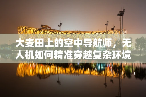 大麦田上的空中导航师，无人机如何精准穿越复杂环境？